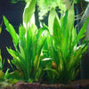 Underwater Artificial Aquatic Plant Ornaments - TheWellBeing4All