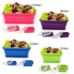 Silicone Bento Box Folding Lunch Bowl Food Storage Container Boxes - TheWellBeing4All