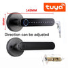 Fingerprint Smart Door Lock Password Electronic Digital Lock Keyless Entry Door Knobs lock - TheWellBeing4All