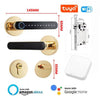 Fingerprint Smart Door Lock Password Electronic Digital Lock Keyless Entry Door Knobs lock - TheWellBeing4All