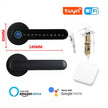 Fingerprint Smart Door Lock Password Electronic Digital Lock Keyless Entry Door Knobs lock - TheWellBeing4All