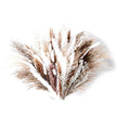 Phragmites Dried Flowers Bouquet - TheWellBeing4All