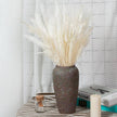 Phragmites Dried Flowers Bouquet - TheWellBeing4All