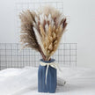 Phragmites Dried Flowers Bouquet - TheWellBeing4All