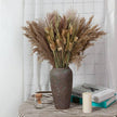 Phragmites Dried Flowers Bouquet - TheWellBeing4All