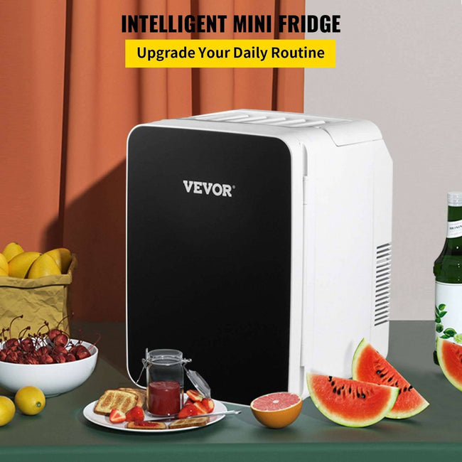 10L Mini réfrigérateur voiture réfrigérateur Portable congélateur refroidisseur et plus chaud stockage soins de la peau cosmétique nourriture boisson 