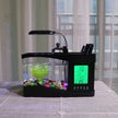 Mini Aquarium - TheWellBeing4All