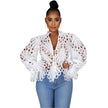Women's Elegant V-Neck Hollow Out Mesh Lace Shirt - TheWellBeing4All