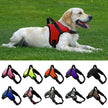 Dog and Cat Adjustable Harness with Leash Reflective and Breathable for Small and Large Dog Harness Vest Pet Supplies - TheWellBeing4All