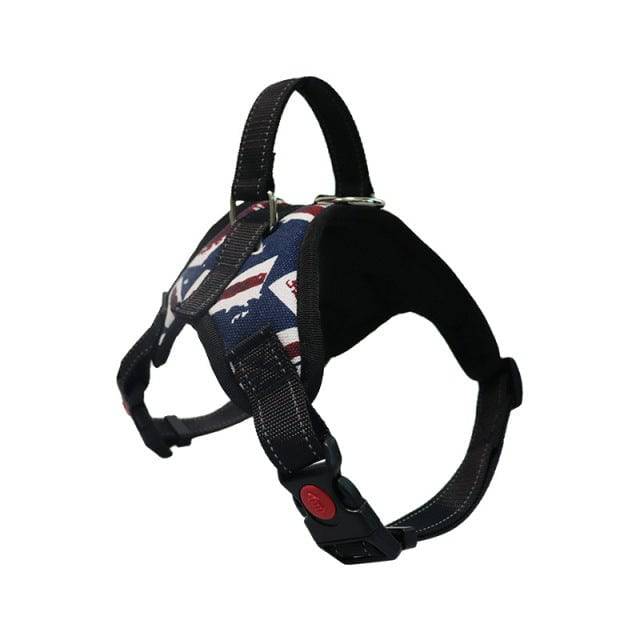 Dog and Cat Adjustable Harness with Leash Reflective and Breathable for Small and Large Dog Harness Vest Pet Supplies - TheWellBeing4All