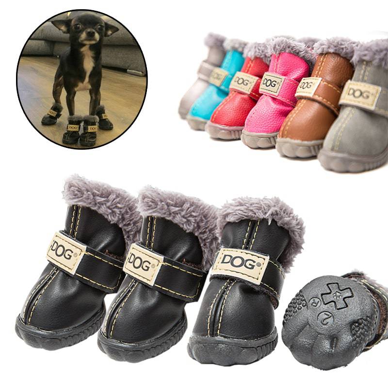 Winter Pet Shoes - TheWellBeing4All