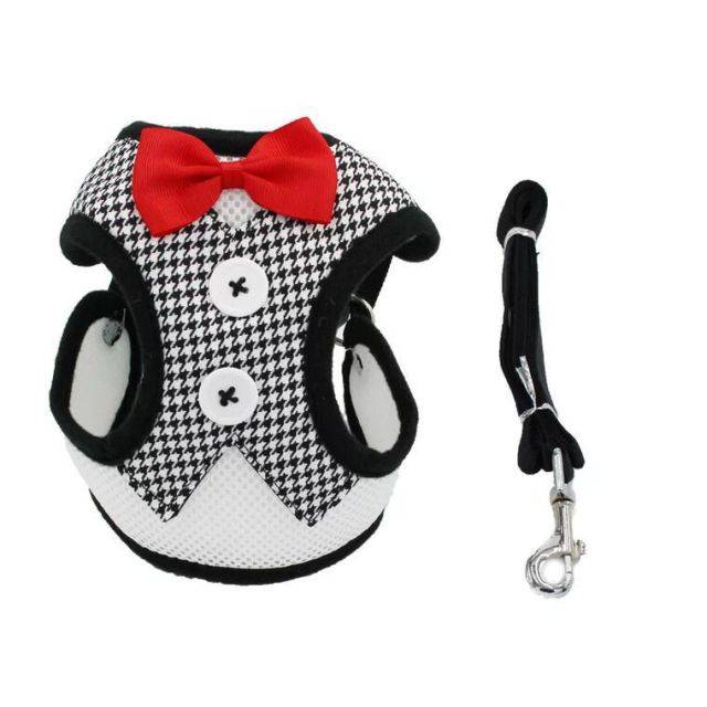 Puppy Cat Harness and Leash Set Breathable Pet Harness Vest For Small Dogs Rabbits Mesh Dress Bow Chest Belt Collar Chihuahua - TheWellBeing4All