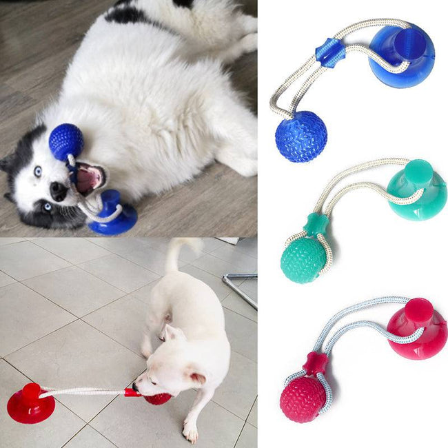 Dog Toys Interactive Suction Cup Push Ball Toys - TheWellBeing4All