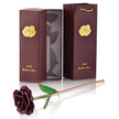 24k Gold Dipped Rose with Stand Eternal Flowers Forever Love In Box - TheWellBeing4All