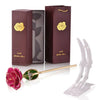 24k Gold Dipped Rose with Stand Eternal Flowers Forever Love In Box - TheWellBeing4All