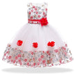 Dresses Flower Girls Wedding Dress Kids Prom Dresses For Girls Elegant Baby - TheWellBeing4All