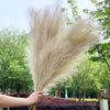 TheWellBeing™Artificial Pampas Grass Decor - TheWellBeing4All