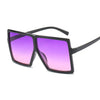 Sunglasses - TheWellBeing4All