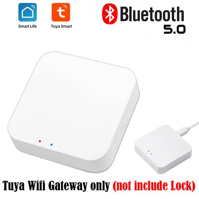 Smart Lock Bluetooth Remote Control Fingerprint Biometric Password RFID Card Code Deadbolt - TheWellBeing4All