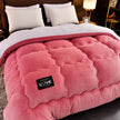 New Super Warm Lamb Wool Quilt Winter Thickened Cotton Quilt Warm Cotton Double sided Velvet Soft Extra Large Blanket - TheWellBeing4All