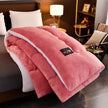 New Super Warm Lamb Wool Quilt Winter Thickened Cotton Quilt Warm Cotton Double sided Velvet Soft Extra Large Blanket - TheWellBeing4All