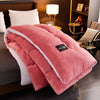 New Super Warm Lamb Wool Quilt Winter Thickened Cotton Quilt Warm Cotton Double sided Velvet Soft Extra Large Blanket - TheWellBeing4All