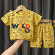 Cotton Baby Sets short sleeve Boy T-shirt + Shorts Sets Toddler Clothing Baby Boy Clothes - TheWellBeing4All