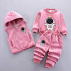 Baby Boys and Girls Clothes Hoodie+Pant Outfit Kids Costume Suit Infant Clothing For Baby Warm Sets - TheWellBeing4All