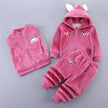 Baby Boys and Girls Clothes Hoodie+Pant Outfit Kids Costume Suit Infant Clothing For Baby Warm Sets - TheWellBeing4All