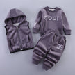 Baby Boys and Girls Clothes Hoodie+Pant Outfit Kids Costume Suit Infant Clothing For Baby Warm Sets - TheWellBeing4All