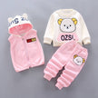 Baby Boys and Girls Clothes Hoodie+Pant Outfit Kids Costume Suit Infant Clothing For Baby Warm Sets - TheWellBeing4All