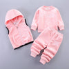 Baby Boys and Girls Clothes Hoodie+Pant Outfit Kids Costume Suit Infant Clothing For Baby Warm Sets - TheWellBeing4All