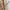 1 Pair European Iron Curtain Hooks Curtain Tieback Wall Hook Holdback for Bedroom Dormitory Curtain Decoration - The Well Being The Well Being The Well Being 1 Pair European Iron Curtain Hooks Curtain Tieback Wall Hook Holdback for Bedroom Dormitory Curtain Decoration