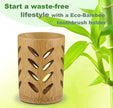 Bamboo Toothbrush Holder With Drainage - TheWellBeing4All