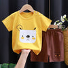 Kids Clothes Set Baby Boy/Girl T-Shirt + Shorts Summer Clothing Cotton Cartoon Casual Boys Tracksuit Children Baby Clothes Set - TheWellBeing4All