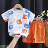 Kids Clothes Set Baby Boy/Girl T-Shirt + Shorts Summer Clothing Cotton Cartoon Casual Boys Tracksuit Children Baby Clothes Set - TheWellBeing4All