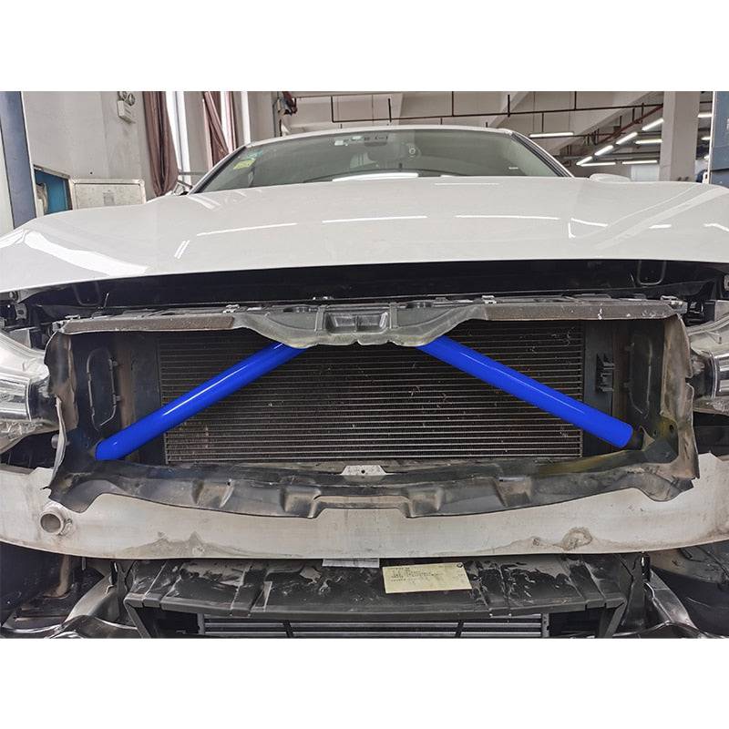 Car Strip Sticker Cover Front Grille Trim Strips Car Styling For BMW F01 F02 F10 F11 F06 F12 F45 F46 F48 X1 5/6/7 Series - TheWellBeing4All