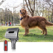 Vacuum Attachment For Dog Groom - TheWellBeing4All