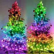 TheWellBeing™️ Christmas Tree RGB Lights Smart Bluetooth Control - TheWellBeing4All