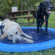 Pet Summer Sprinkler Pad - TheWellBeing4All