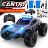 2WD Remote Control Toy RC Car Electric High Speed Off Road Racing All Terrain Drift Trucks - TheWellBeing4All