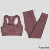 Seamless Yoga Set Workout Sportswear Gym Clothing Fitness High Waist Leggings Long Sleeve Crop Top Sports Suits - The Well Being The Well Being bra pants wine red / L / Russian Federation Ludovick-TMB Seamless Yoga Set Workout Sportswear Gym Clothing Fitness High Waist Leggings Long Sleeve Crop Top Sports Suits