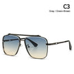 Sunglasses - The Well Being The Well Being C3 Gray Green-Brown / UV400 Ludovick-TMB Sunglasses