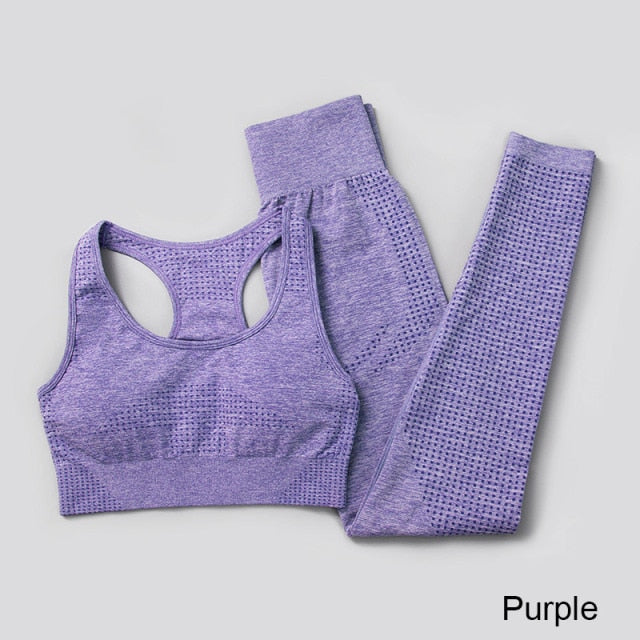 Seamless Yoga Set Workout Sportswear Gym Clothing Fitness High Waist Leggings Long Sleeve Crop Top Sports Suits - The Well Being The Well Being bra pants purple / S / Russian Federation Ludovick-TMB Seamless Yoga Set Workout Sportswear Gym Clothing Fitness High Waist Leggings Long Sleeve Crop Top Sports Suits
