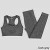 Seamless Yoga Set Workout Sportswear Gym Clothing Fitness High Waist Leggings Long Sleeve Crop Top Sports Suits - The Well Being The Well Being bra pants drake gray / M / Russian Federation Ludovick-TMB Seamless Yoga Set Workout Sportswear Gym Clothing Fitness High Waist Leggings Long Sleeve Crop Top Sports Suits