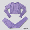 Seamless Yoga Set Workout Sportswear Gym Clothing Fitness High Waist Leggings Long Sleeve Crop Top Sports Suits - The Well Being The Well Being autumn set purple / L / Russian Federation Ludovick-TMB Seamless Yoga Set Workout Sportswear Gym Clothing Fitness High Waist Leggings Long Sleeve Crop Top Sports Suits