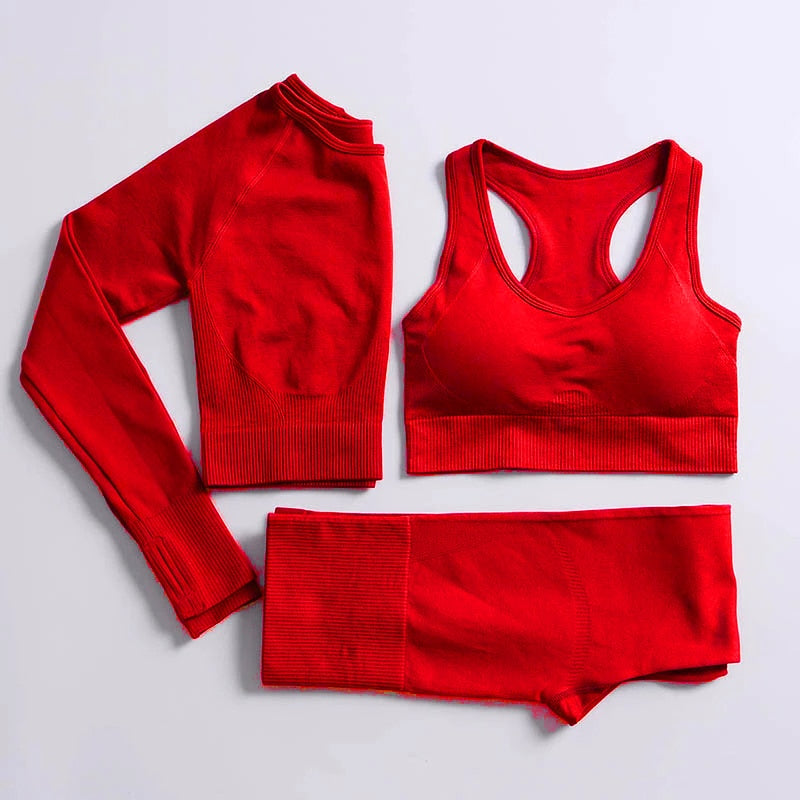 Energy Seamless Yoga Set Sport Outfit For Woman Gym Clothing Fitness Long Sleeve Crop Top High Waist Leggings Running Sportswear - The Well Being The Well Being Ludovick-TMB Energy Seamless Yoga Set Sport Outfit For Woman Gym Clothing Fitness Long Sleeve Crop Top High Waist Leggings Running Sportswear