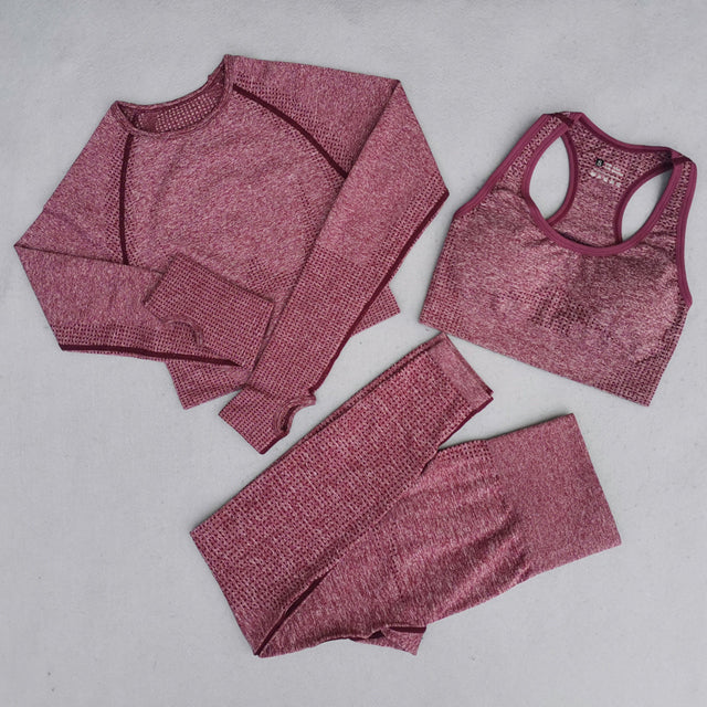 Seamless Yoga Set Women Workout Set Sportswear Fitness Clothes For Women Clothing Gym Leggings Sport Suit - The Well Being The Well Being 3Pcs-Wine red / M Ludovick-TMB Seamless Yoga Set Women Workout Set Sportswear Fitness Clothes For Women Clothing Gym Leggings Sport Suit
