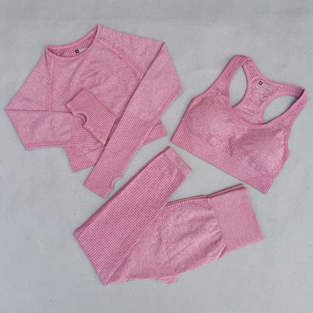 Seamless Yoga Set Women Workout Set Sportswear Fitness Clothes For Women Clothing Gym Leggings Sport Suit - The Well Being The Well Being 3Pcs-Pink / S Ludovick-TMB Seamless Yoga Set Women Workout Set Sportswear Fitness Clothes For Women Clothing Gym Leggings Sport Suit