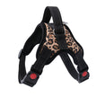 Dog and Cat Adjustable Harness with Leash Reflective and Breathable for Small and Large Dog Harness Vest Pet Supplies - The Well Being The Well Being Leopard / M Ludovick-TMB Dog and Cat Adjustable Harness with Leash Reflective and Breathable for Small and Large Dog Harness Vest Pet Supplies